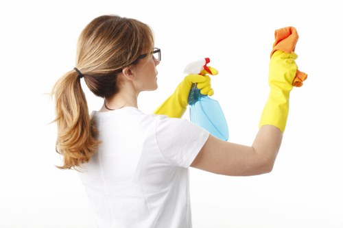 Deep mattress cleaning equipment used in Shepherds Bush homes